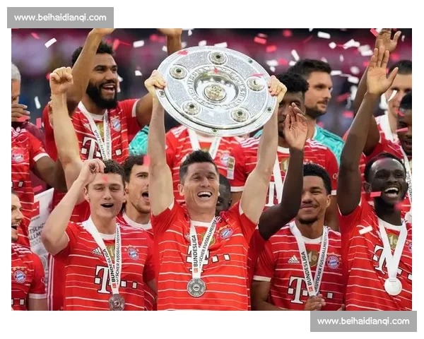 汉堡保级路漫漫,德甲赛场能否绝地反击