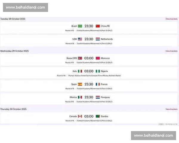 激情澎湃，2026世界杯强队名单深度解读，谁是你的心头好！